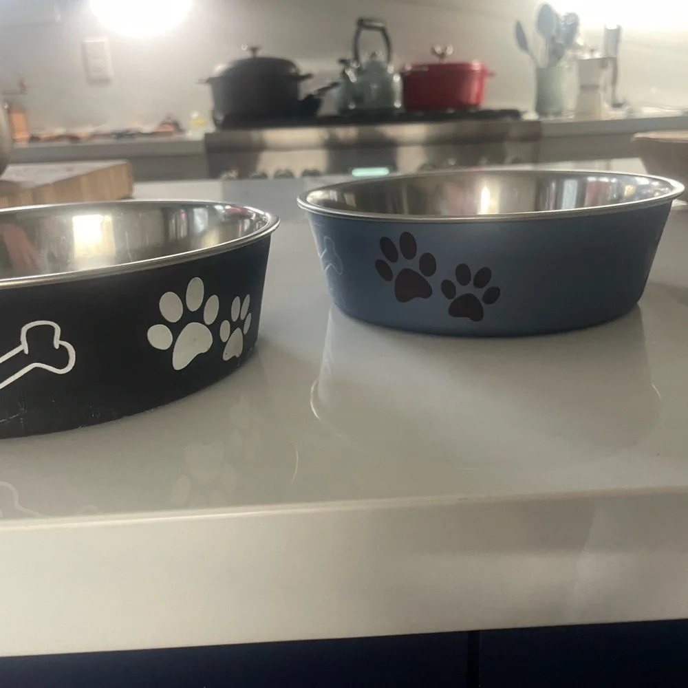 Dog Bowls (2)